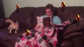 按摩催眠视频,跟随按摩催眠视频，体验深度放松之旅